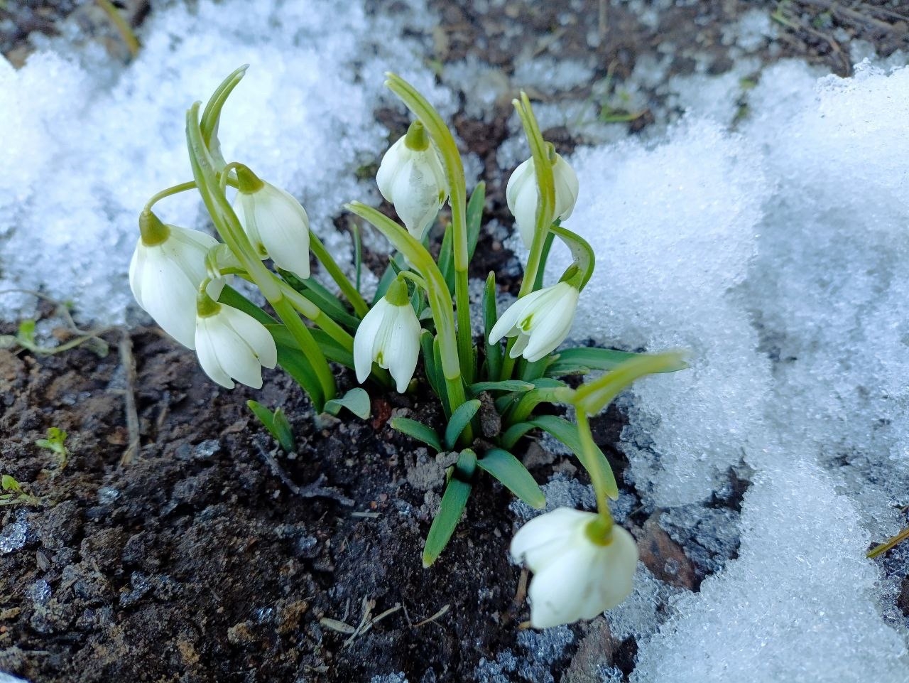 Проект брянской газеты «Красногорская жизнь» «Фотографируют наши читатели»
