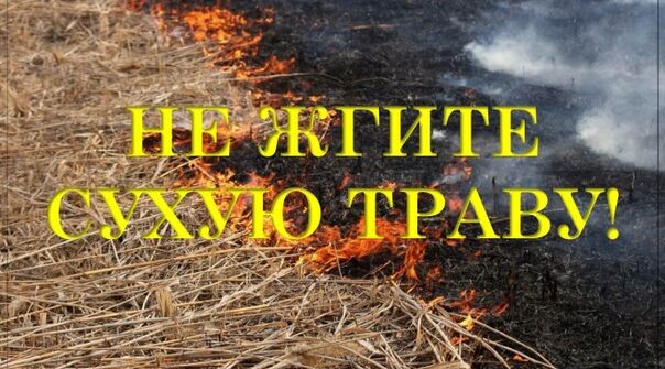 Информация для жителей Красногорского района Брянщины