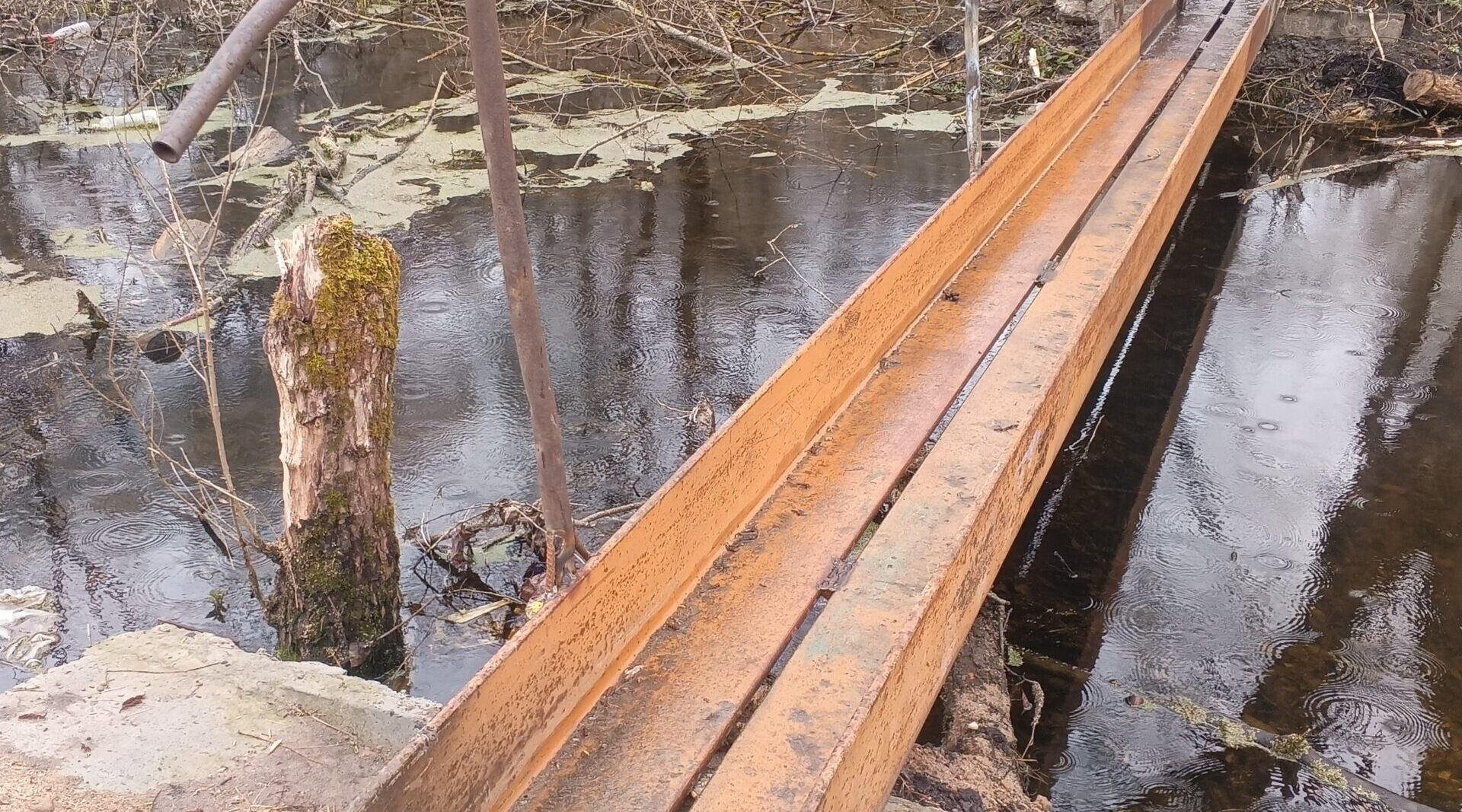 Инициатива уроженцев Красногорского района Брянщины, воплощённая в дело