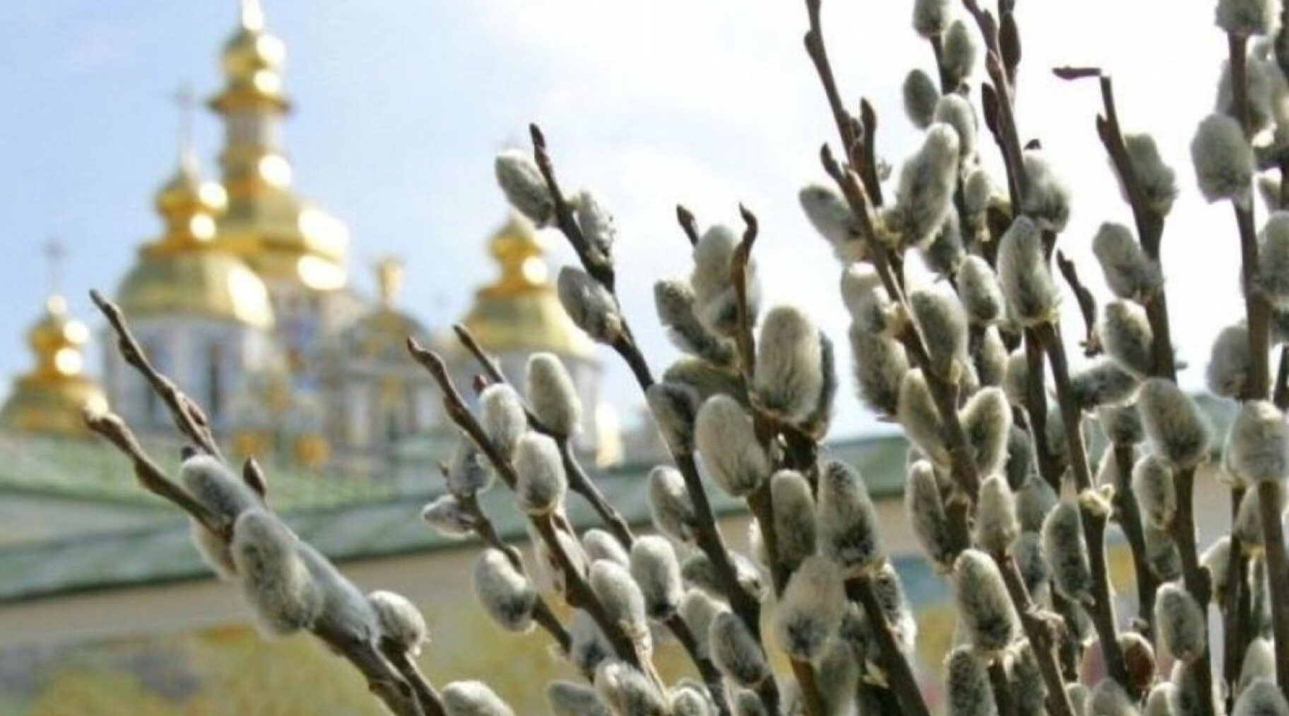 С Вербным воскресеньем, брянские красногорцы