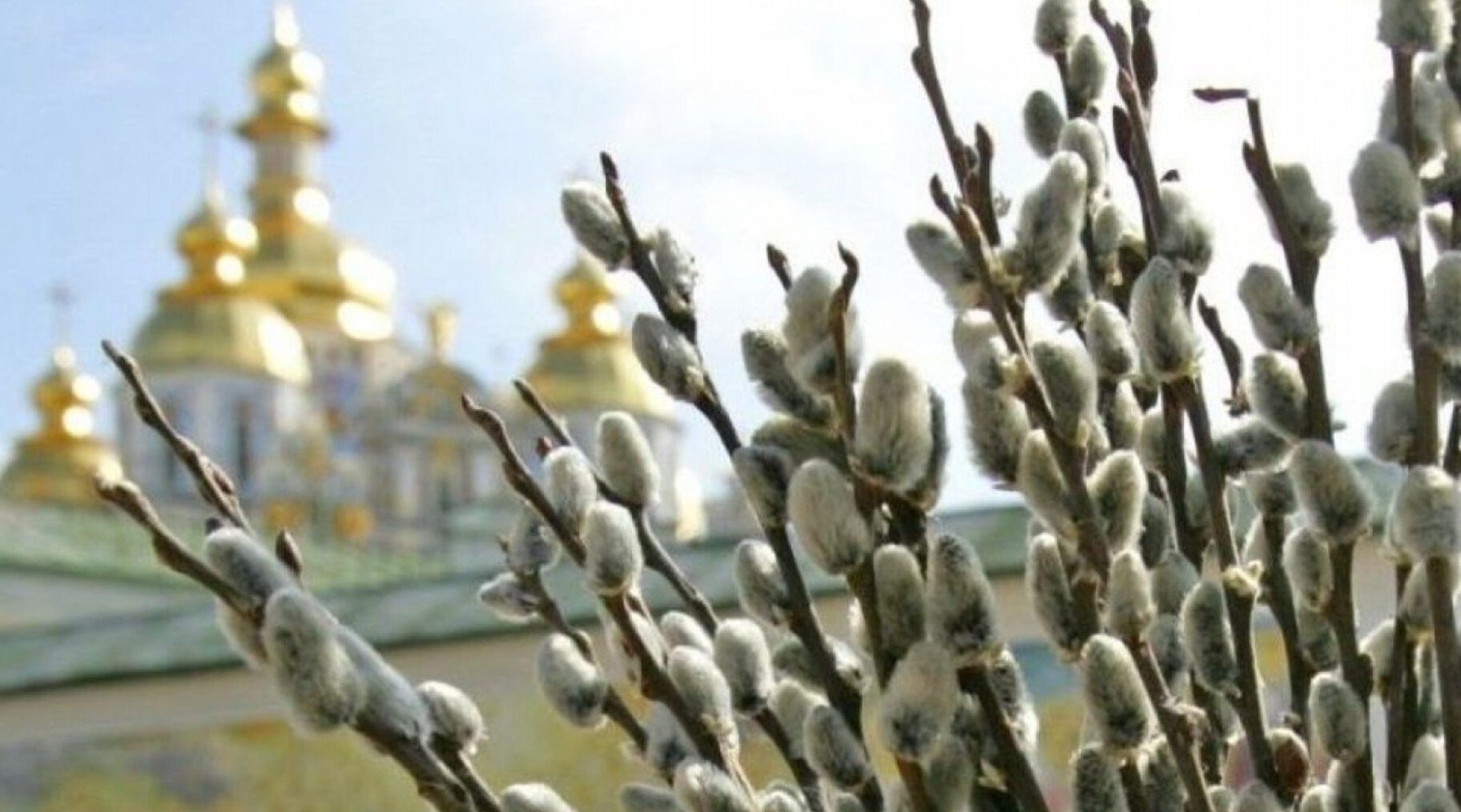 С вербным воскресеньем брянской красногорцы