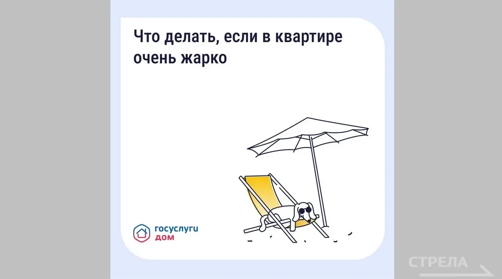 Обновленное приложение «Госуслуги.Дом» помогает брянцам в решении бытовых вопросов