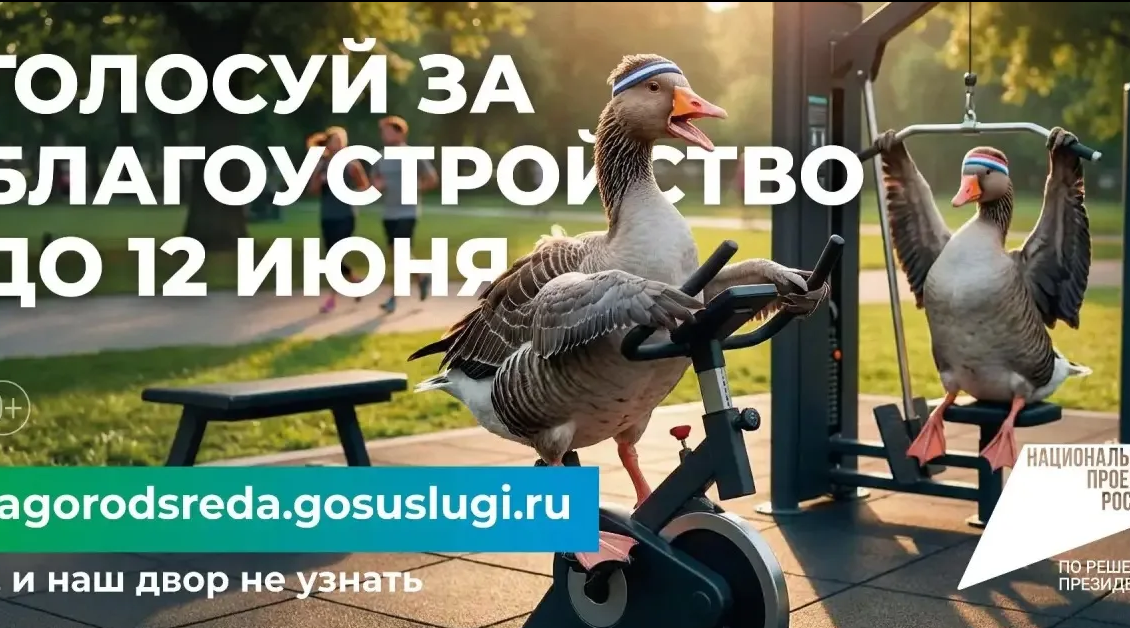 В брянском регионе стартовало всероссийское голосование за объекты благоустройства