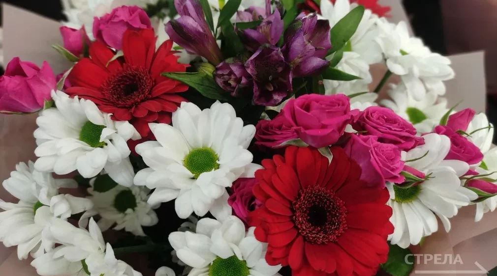 Белорусское землячество в Брянской области поздравляет с Днем единения России и Белоруссии