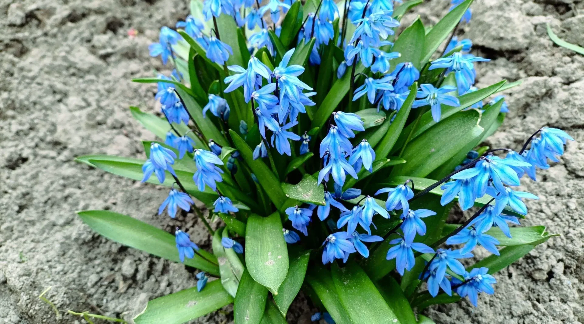 Проект брянской газеты «Красногорская жизнь» «Фотографируют наши читатели»