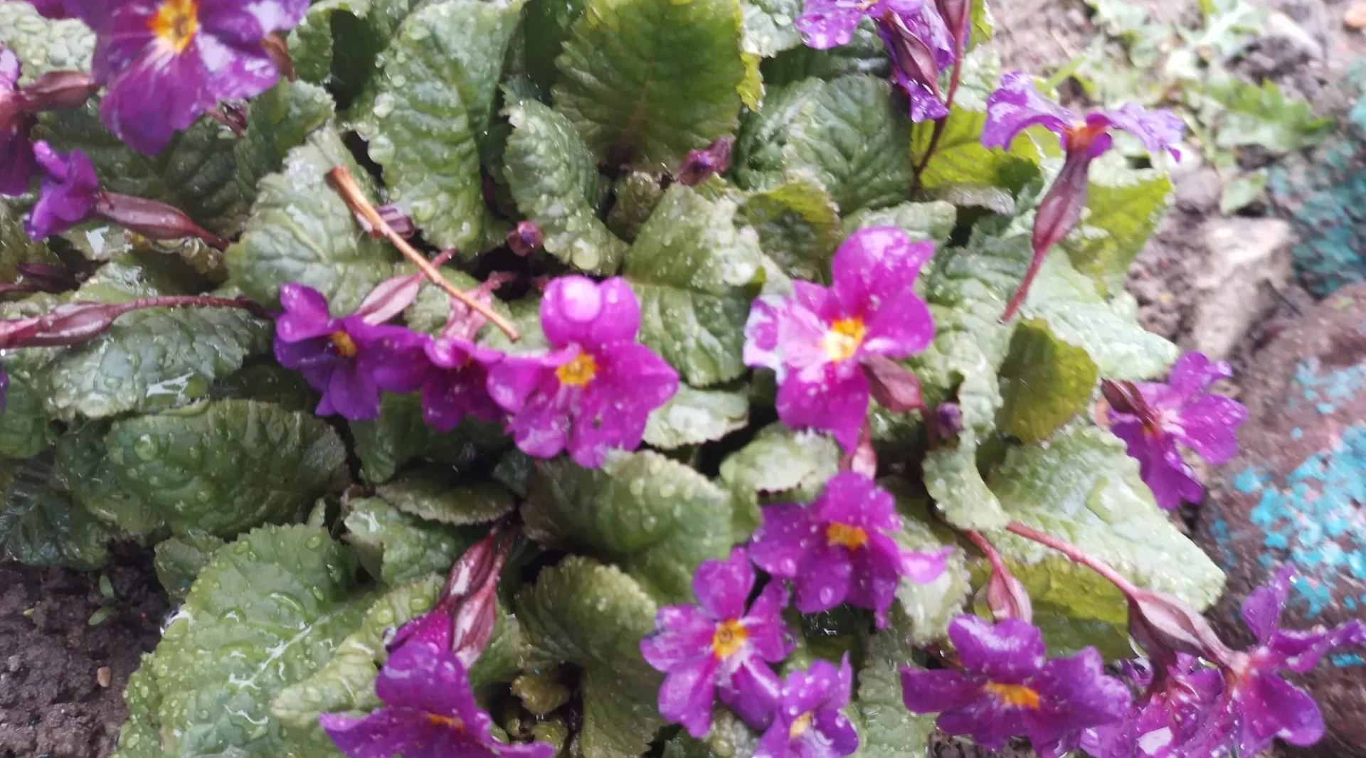 Проект брянской газеты «Красногорская жизнь» «Фотографируют наши читатели»