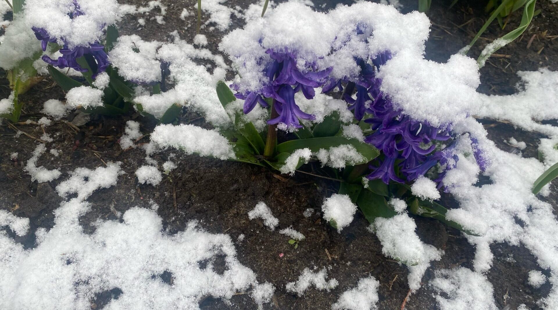 Фотозарисовка от корреспондентов брянской газеты «Красногорская жизнь»