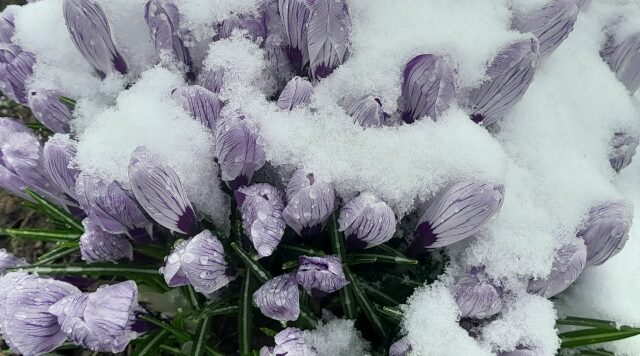 Фотозарисовка от корреспондентов брянской газеты «Красногорская жизнь»