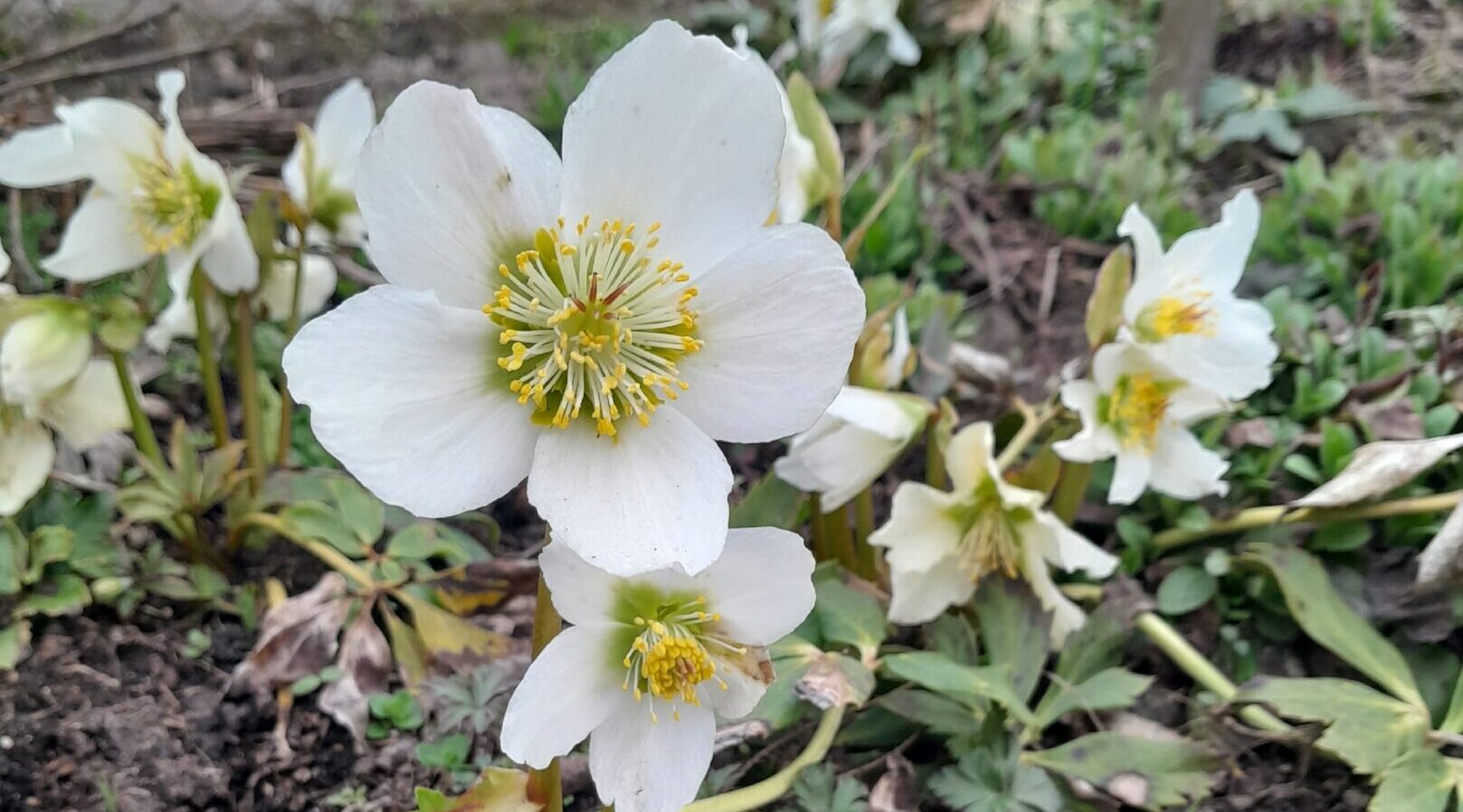 Проект брянской газеты «Красногорская жизнь» «Фотографируют наши читатели»