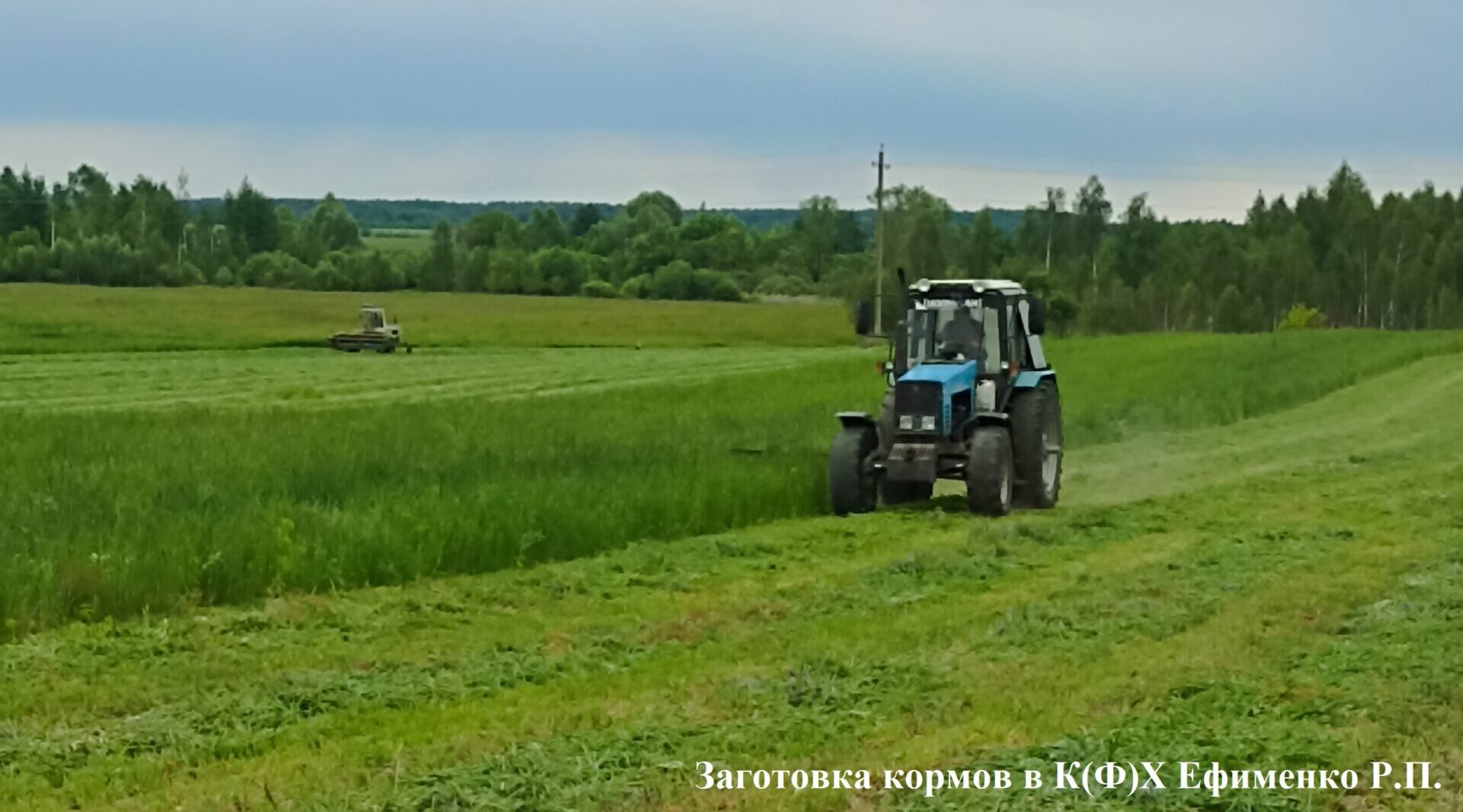 В Красногорском районе Брянщины продолжается заготовка кормов