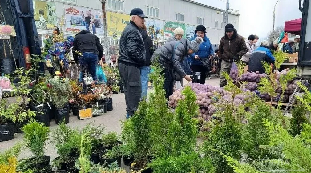 Брянцы на ярмарках выходного дня запасаются сельхозпродукцией